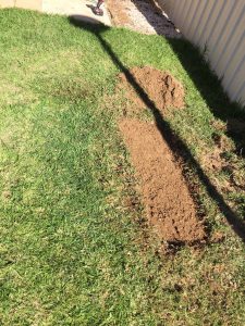 Blocked drain repair Adelaide