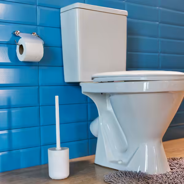Toilet Repairs Adelaide 3