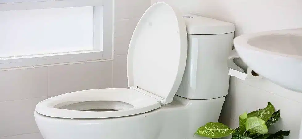 4 Most Common Toilet and Bathroom Repair Callouts in Adelaide