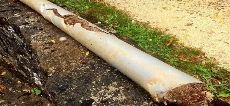 Stormwater Blockages in Winter: What Goes Wrong Behind the Scenes